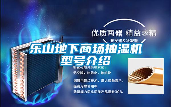 樂山地下商場抽濕機(jī)型號(hào)介紹