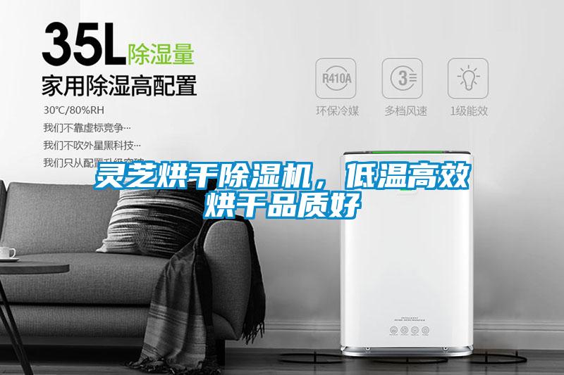 靈芝烘干除濕機，低溫高效烘干品質(zhì)好