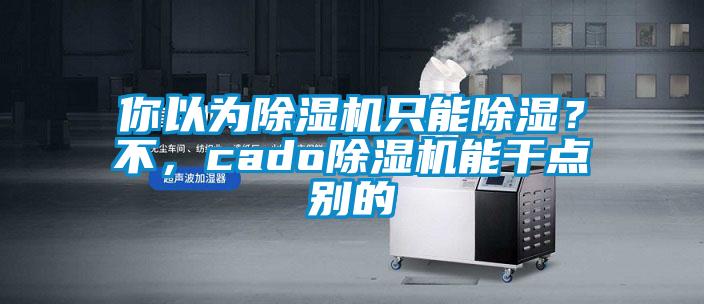 你以為除濕機(jī)只能除濕？不，cado除濕機(jī)能干點(diǎn)別的
