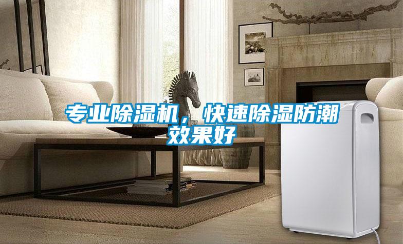 專業(yè)除濕機，快速除濕防潮效果好