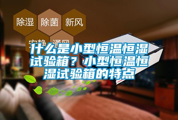 什么是小型恒溫恒濕試驗(yàn)箱？小型恒溫恒濕試驗(yàn)箱的特點(diǎn)