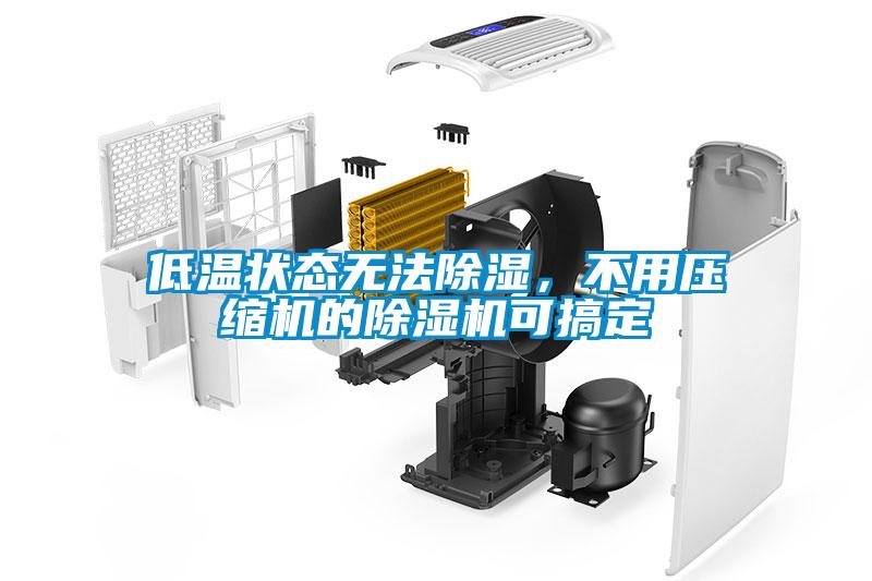 低溫狀態(tài)無法除濕，不用壓縮機的除濕機可搞定