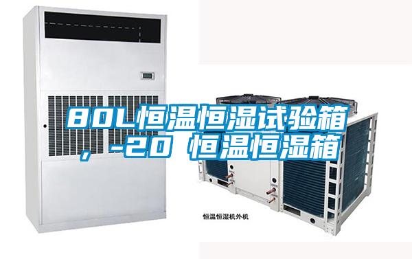 80L恒溫恒濕試驗箱，-20℃恒溫恒濕箱