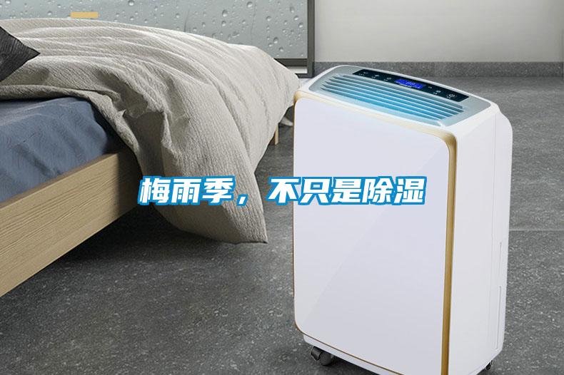 梅雨季，不只是除濕
