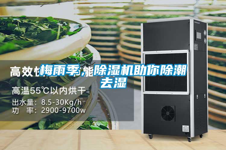 梅雨季，除濕機(jī)助你除潮去濕