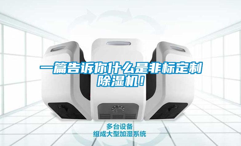 一篇告訴你什么是非標(biāo)定制除濕機(jī)！