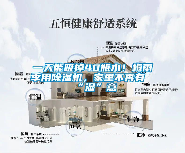 一天能吸掉40瓶水！梅雨季用除濕機(jī)，家里不再有“濕”意