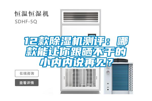 12款除濕機(jī)測(cè)評(píng)：哪款能讓你跟曬不干的小內(nèi)內(nèi)說(shuō)再見(jiàn)？