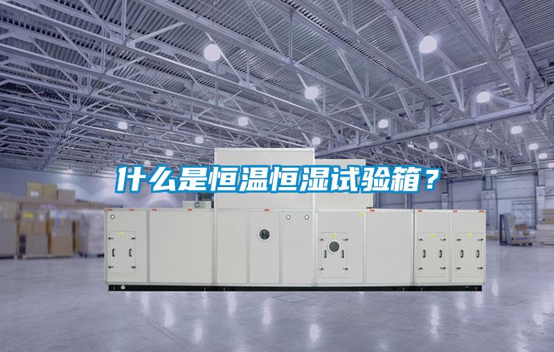 什么是恒溫恒濕試驗(yàn)箱？