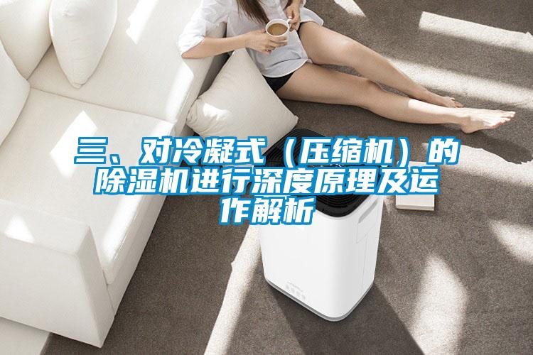 三、對冷凝式（壓縮機(jī)）的除濕機(jī)進(jìn)行深度原理及運(yùn)作解析