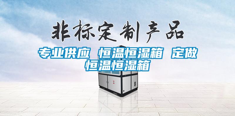 專(zhuān)業(yè)供應(yīng) 恒溫恒濕箱 定做恒溫恒濕箱