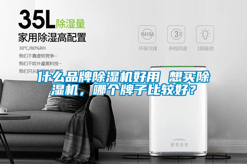 什么品牌除濕機(jī)好用 想買除濕機(jī)，哪個牌子比較好？