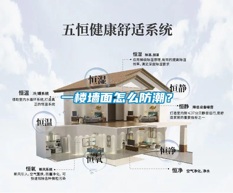 一樓墻面怎么防潮？