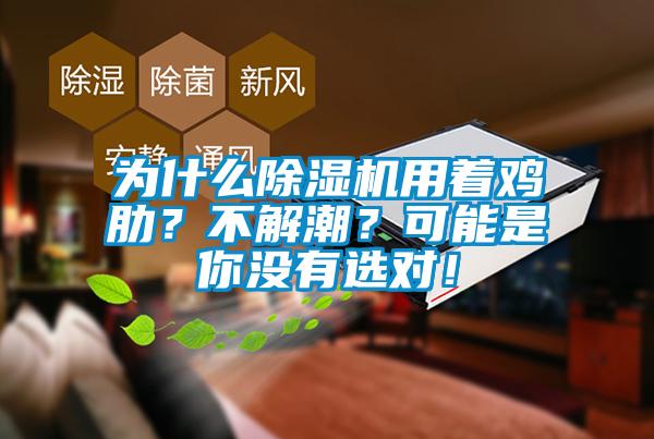 為什么除濕機(jī)用著雞肋？不解潮？可能是你沒有選對！