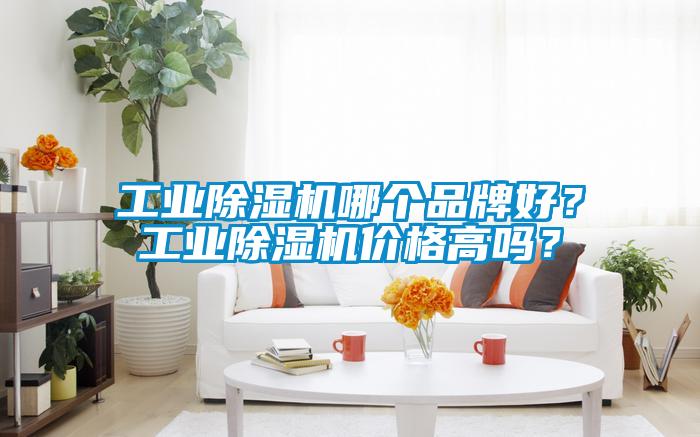 工業(yè)除濕機(jī)哪個(gè)品牌好？工業(yè)除濕機(jī)價(jià)格高嗎？