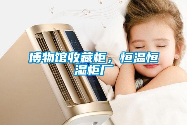 博物館收藏柜，恒溫恒濕柜廠