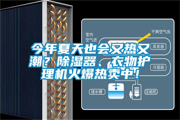 今年夏天也會(huì)又熱又潮？除濕器、衣物護(hù)理機(jī)火爆熱賣中！