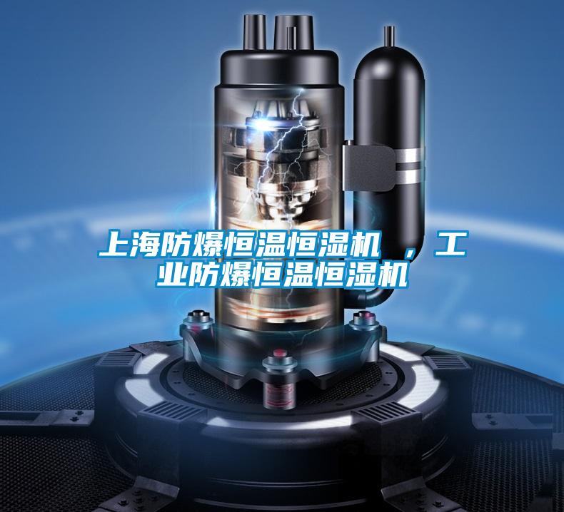 上海防爆恒溫恒濕機 ，工業(yè)防爆恒溫恒濕機