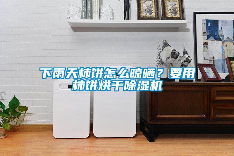下雨天柿餅怎么晾曬？要用柿餅烘干除濕機(jī)