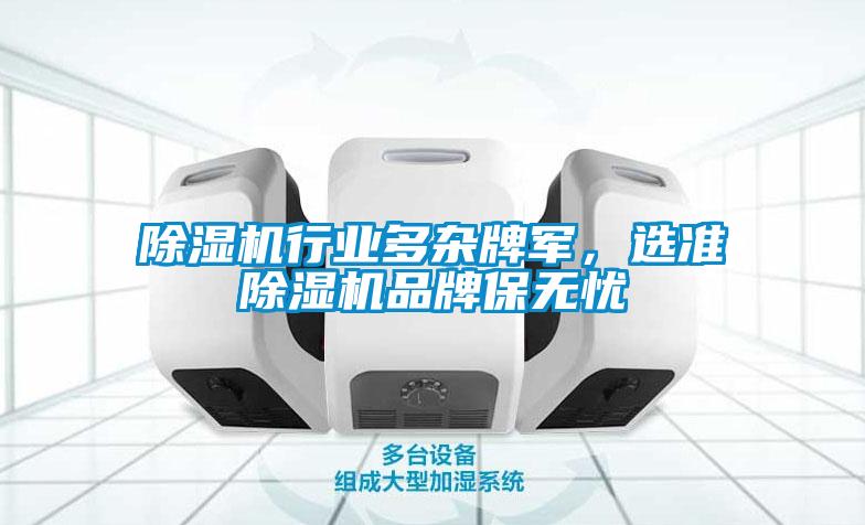 除濕機(jī)行業(yè)多雜牌軍，選準(zhǔn)除濕機(jī)品牌保無憂