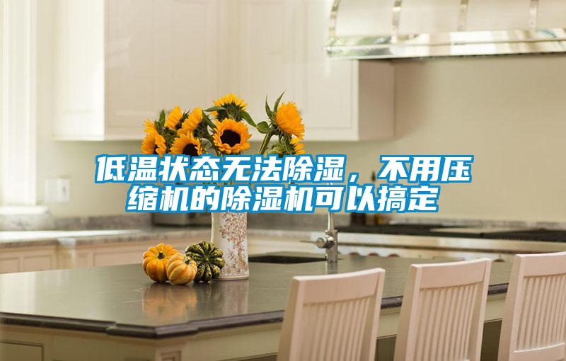 低溫狀態(tài)無(wú)法除濕，不用壓縮機(jī)的除濕機(jī)可以搞定