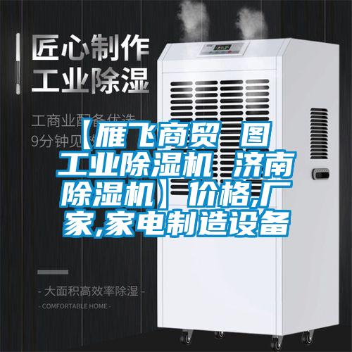 【雁飛商貿(mào) 圖  工業(yè)除濕機(jī) 濟(jì)南除濕機(jī)】價(jià)格,廠家,家電制造設(shè)備