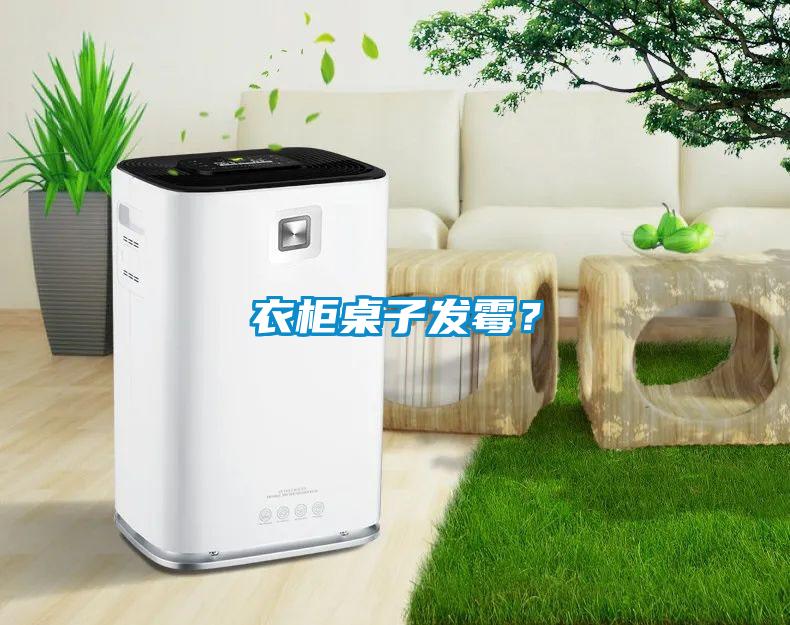 衣柜桌子發(fā)霉？