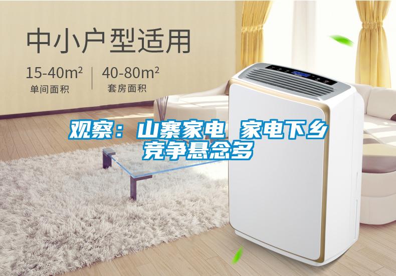 觀察：山寨家電 家電下鄉(xiāng)競(jìng)爭(zhēng)懸念多