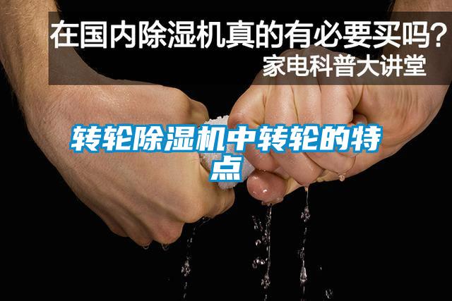 轉(zhuǎn)輪除濕機中轉(zhuǎn)輪的特點