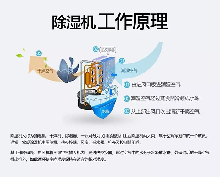 汽車貼膜車間降塵霧化機(jī)，智能超聲波霧化降塵系統(tǒng)