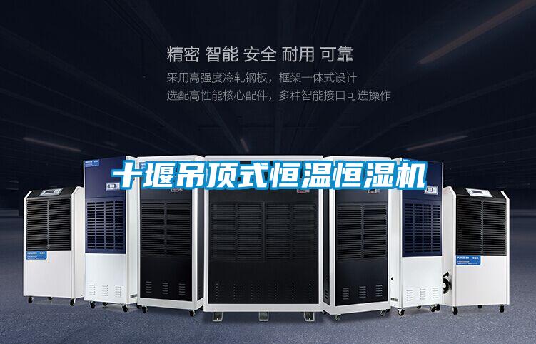 十堰吊頂式恒溫恒濕機
