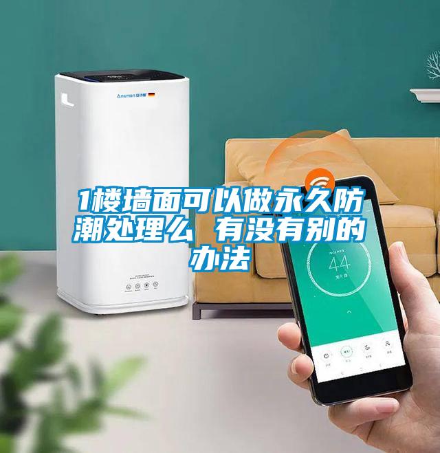 1樓墻面可以做永久防潮處理么 有沒(méi)有別的辦法