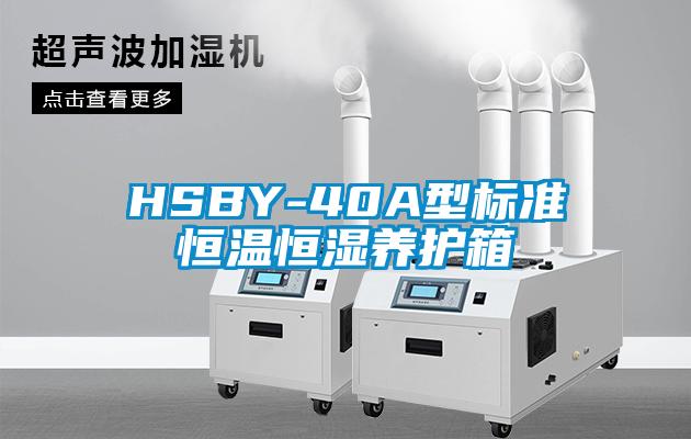 HSBY-40A型標準恒溫恒濕養(yǎng)護箱