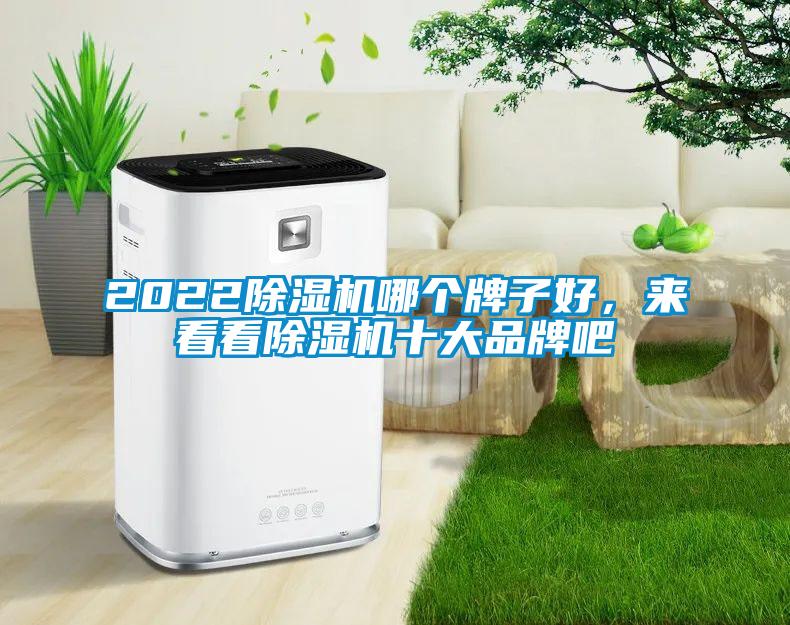 2022除濕機(jī)哪個(gè)牌子好，來(lái)看看除濕機(jī)十大品牌吧