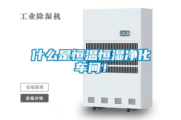 什么是恒溫恒濕凈化車間！
