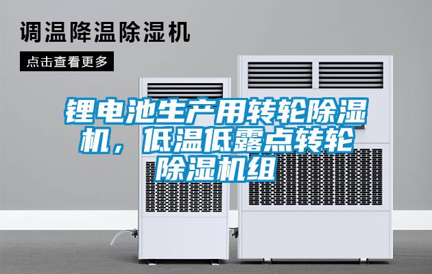 鋰電池生產(chǎn)用轉(zhuǎn)輪除濕機，低溫低露點轉(zhuǎn)輪除濕機組