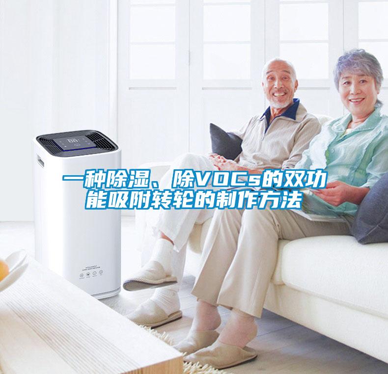 一種除濕、除VOCs的雙功能吸附轉輪的制作方法