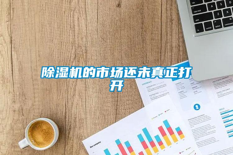 除濕機(jī)的市場(chǎng)還未真正打開(kāi)