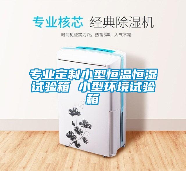 專(zhuān)業(yè)定制小型恒溫恒濕試驗(yàn)箱 小型環(huán)境試驗(yàn)箱