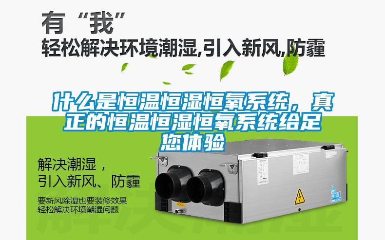 什么是恒溫恒濕恒氧系統(tǒng)，真正的恒溫恒濕恒氧系統(tǒng)給足您體驗(yàn)