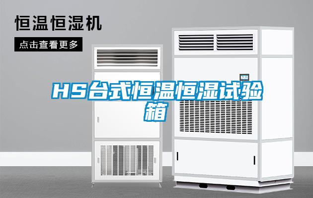 HS臺式恒溫恒濕試驗(yàn)箱