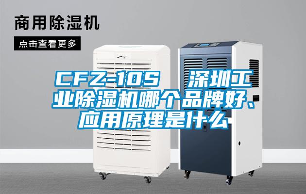CFZ-10S  深圳工業(yè)除濕機哪個品牌好、應用原理是什么