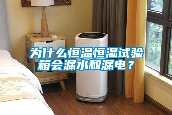 為什么恒溫恒濕試驗(yàn)箱會(huì)漏水和漏電？
