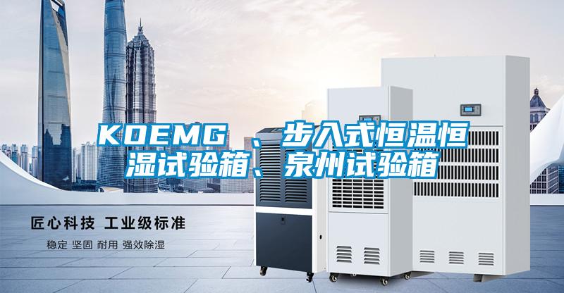 KOEMG 、步入式恒溫恒濕試驗(yàn)箱、泉州試驗(yàn)箱