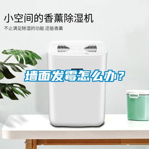 墻面發(fā)霉怎么辦？