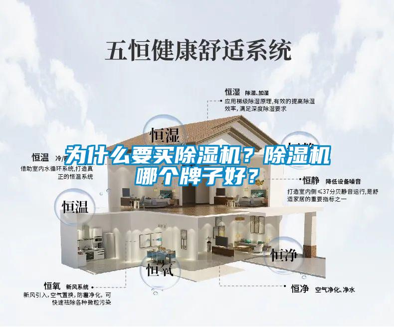 為什么要買除濕機(jī)？除濕機(jī)哪個牌子好？