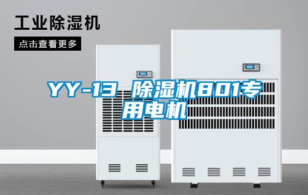 YY-13 除濕機(jī)801專(zhuān)用電機(jī)