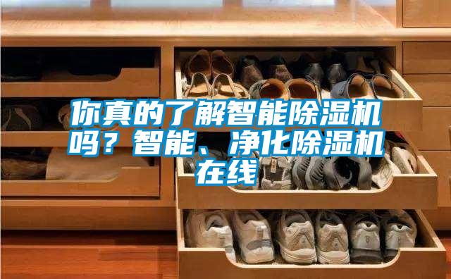 你真的了解智能除濕機(jī)嗎？智能、凈化除濕機(jī)在線