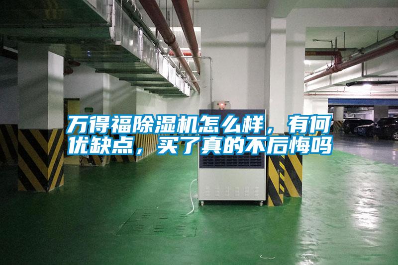萬得福除濕機(jī)怎么樣，有何優(yōu)缺點(diǎn)，買了真的不后悔嗎