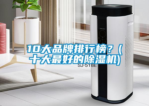 10大品牌排行榜？(十大最好的除濕機(jī))